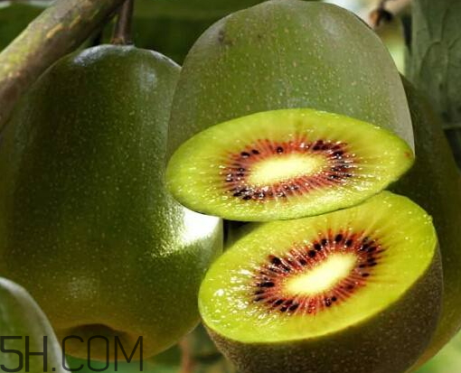 紅陽獼猴桃和紅心區(qū)別 紅陽獼猴桃的功效與作用 紅陽獼猴桃和紅心區(qū)別 紅陽獼猴桃的功效與作用