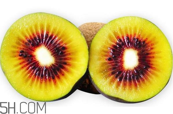 紅陽獼猴桃和紅心區(qū)別 紅陽獼猴桃的功效與作用 紅陽獼猴桃和紅心區(qū)別 紅陽獼猴桃的功效與作用