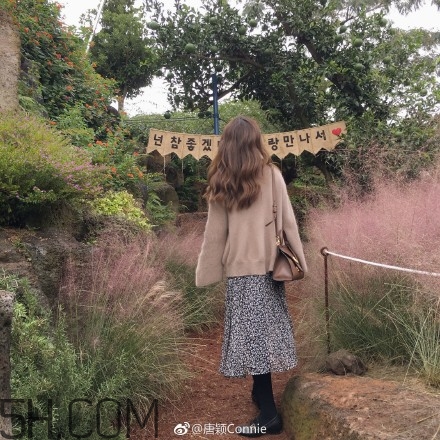 粉黛亂子是什么植物？粉黛亂子草花語