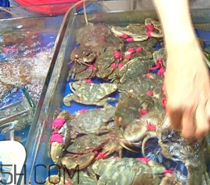 花蓋蟹和梭子蟹哪個(gè)好吃？花蓋蟹和梭子蟹區(qū)別