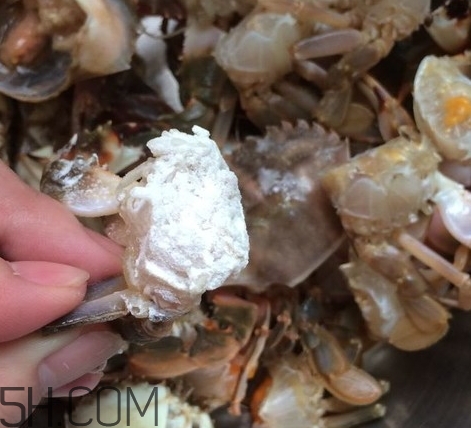 花蓋蟹和梭子蟹哪個(gè)好吃？花蓋蟹和梭子蟹區(qū)別