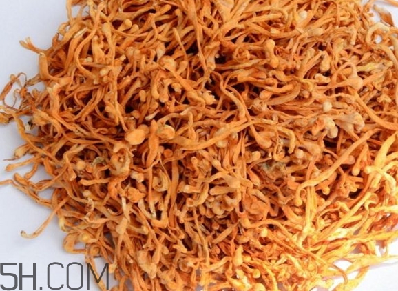 冬蟲夏草哪里的最好？冬蟲夏草和蟲草花的區(qū)別