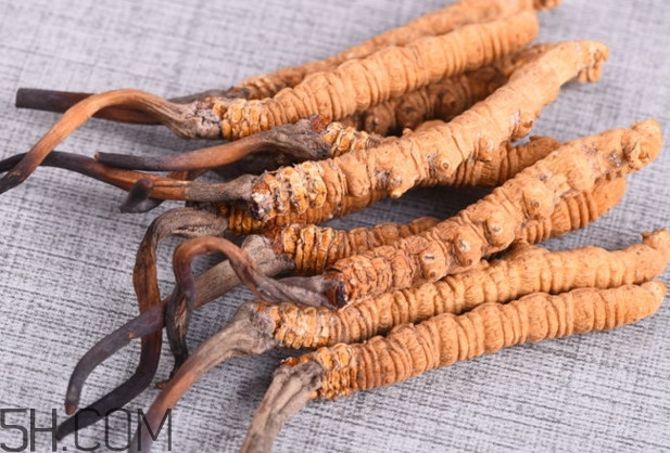 冬蟲(chóng)夏草多少錢(qián)一斤？冬蟲(chóng)夏草回收多少錢(qián)一克