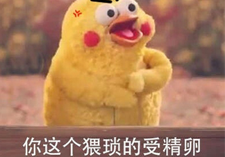 你這個猥瑣的受精卵是什么意思？你這個猥瑣的受精卵表情包