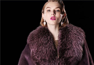 水貂和貂哪個(gè)好？貂皮和水貂有什么區(qū)別？