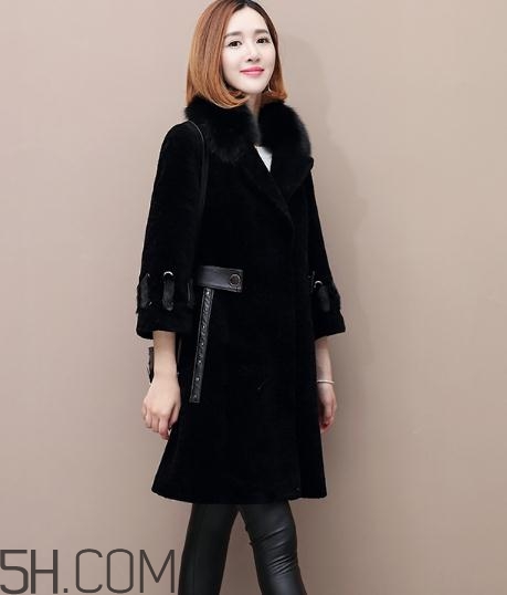 水貂和貂哪個好？貂皮和水貂有什么區(qū)別？