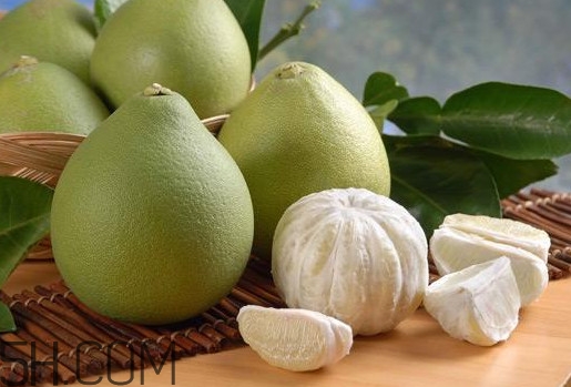 文旦怎么保存？文旦是哪個地方的特產(chǎn)