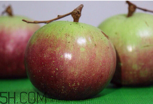 牛奶果是什么？牛奶果孕婦可以吃嗎？