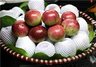 牛奶果是什么？牛奶果孕婦可以吃嗎？