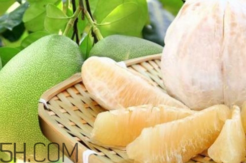 文旦柚多少錢一斤？文旦柚是寒性食物嗎