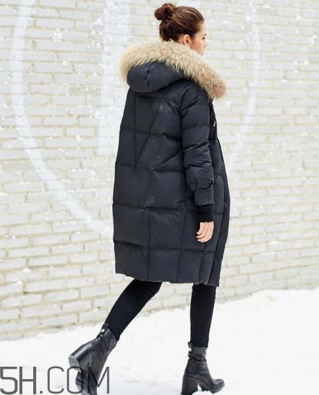 貉子毛和狐貍毛哪個好？貉子毛和狐貍毛的區(qū)別