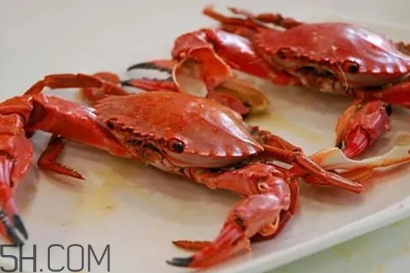 海虹蟹和梭子蟹哪個(gè)好？海虹蟹和梭子蟹的區(qū)別