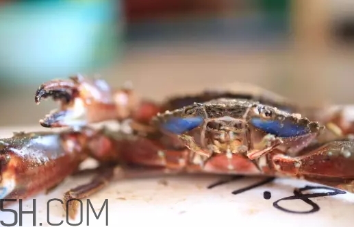 海虹蟹蒸多久才可以熟？海虹蟹蒸多長時(shí)間