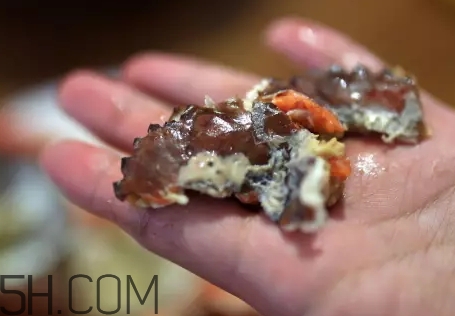 海虹蟹蒸多久才可以熟？海虹蟹蒸多長時(shí)間