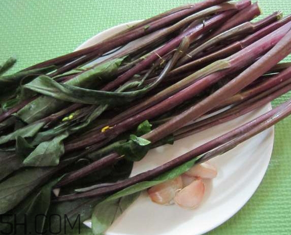 紅菜苔為什么炒出來的汁是藍色的？紅菜苔是什么菜