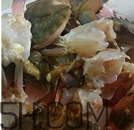 海虹蟹怎么做好吃？海紅蟹的做法
