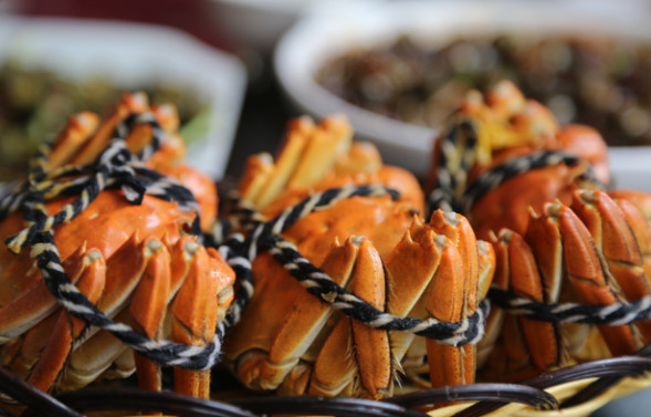 陽澄湖大閘蟹幾月份上市？陽澄湖大閘蟹哪家正宗