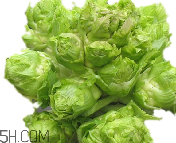 青菜頭是不是兒菜？大頭菜和兒菜的區(qū)別