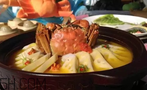 冬蟹和梭子蟹的區(qū)別 冬蟹和梭子蟹哪個好吃 冬蟹和梭子蟹的區(qū)別 冬蟹和梭子蟹哪個好吃