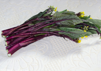 紅菜苔什么時候播種？紅菜苔什么季節(jié)才能吃