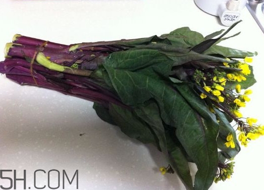 紅菜苔不能與什么菜一起吃？紅菜苔與白菜苔之間的差別