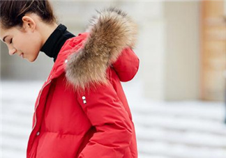 貉子毛和狐貍毛哪個好？貉子毛和狐貍毛的區(qū)別