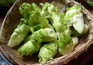 兒菜為什么叫兒菜？兒菜什么季節(jié)吃的