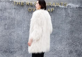 貉子毛是什么毛？貉子毛貴嗎？