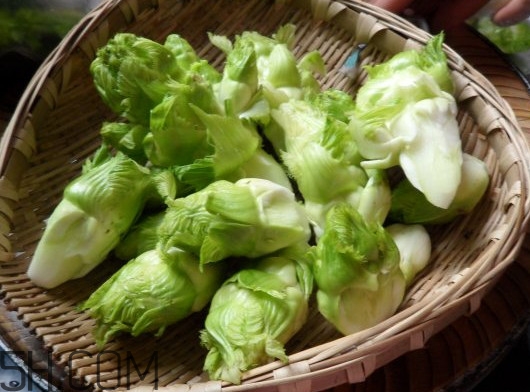 兒菜為什么叫兒菜？兒菜什么季節(jié)吃的