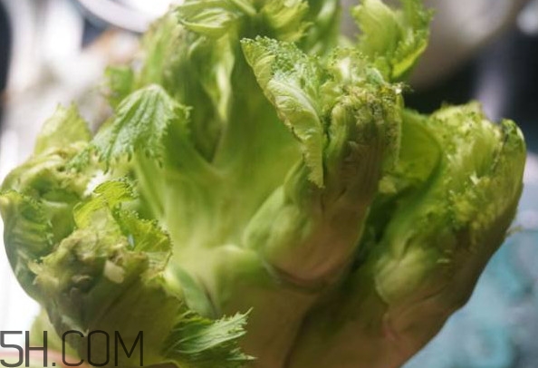 兒菜為什么叫兒菜？兒菜什么季節(jié)吃的