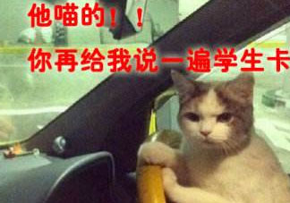 網(wǎng)絡(luò)語(yǔ)言開(kāi)車什么意思 網(wǎng)絡(luò)用語(yǔ)開(kāi)車是什么意思