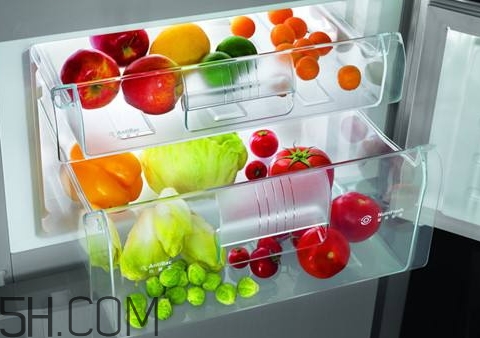 怎么使用冰箱保存食物_冰箱儲(chǔ)存食物的正確方法 怎么使用冰箱保存食物_冰箱儲(chǔ)存食物的正確方法