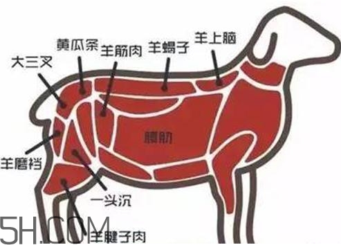 涮羊肉哪個部位最好吃？涮羊肉都有什么菜？