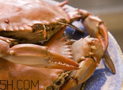 菜蟹怎么做好吃？菜蟹做法大全圖解