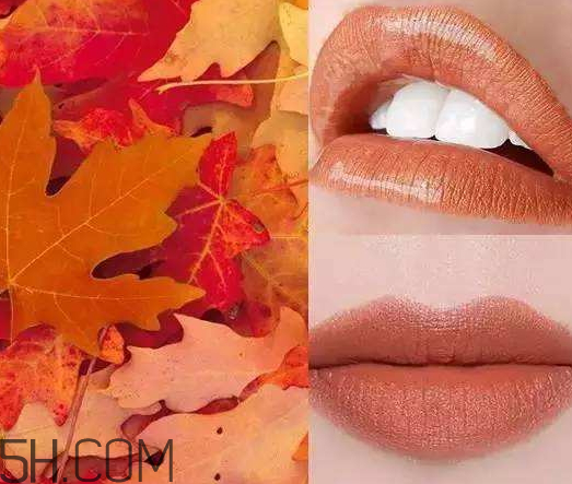 楓葉色口紅適合什么膚色 楓葉色口紅適合黃皮嗎 楓葉色口紅適合什么膚色 楓葉色口紅適合黃皮嗎