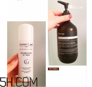 leonor greyl和伊索洗發(fā)水對比 leonor greyl洗發(fā)水測評 leonor greyl和伊索洗發(fā)水對比 leonor greyl洗發(fā)水測評