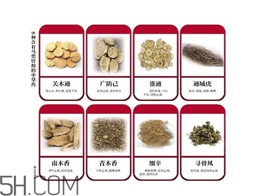 含馬兜鈴酸的藥都不能吃嗎？馬兜鈴酸真的會致癌嗎