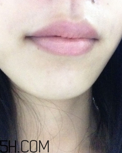 dhc美容液唇膏好嗎？dhc尊貴美容液唇膏試色