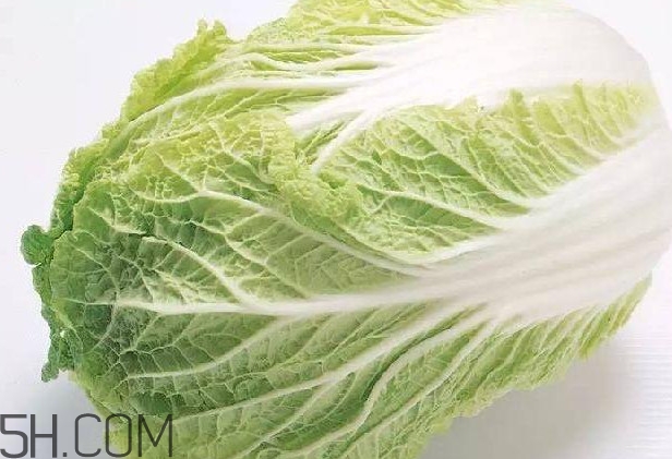 大白菜什么時(shí)候種最合適？大白菜怎么做好吃