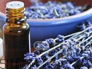 如何用精油護(hù)發(fā)？薰衣草精油護(hù)發(fā)怎么用？
