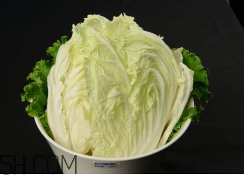 大白菜起源是哪里？大白菜產(chǎn)地分布有哪些