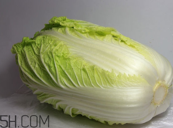 大白菜是涼性還是熱性？大白菜是什么季節(jié)的