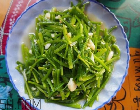 麗江水性楊花是什么菜？水性楊花菜怎么做？