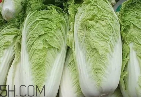 大白菜什么時(shí)候種最合適？大白菜怎么做好吃