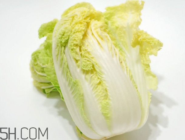 大白菜起源是哪里？大白菜產(chǎn)地分布有哪些