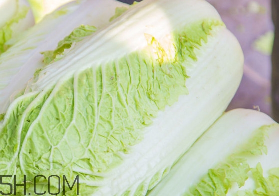 大白菜可以生吃嗎？大白菜可以隔夜吃嗎