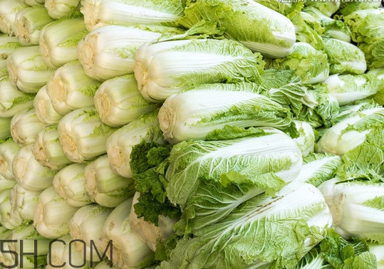 冬儲大白菜怎么才不會壞？冬儲大白菜什么時候上市