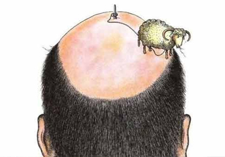 禿頂了還能長出頭發(fā)嗎？禿頂和性欲太強(qiáng)是不是有關(guān)