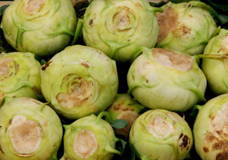 大頭菜是發(fā)物嗎？大頭菜是卷心菜嗎