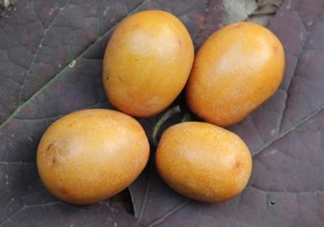 南酸棗怎么吃？南酸棗的作用與功效